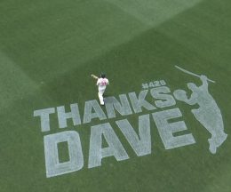 WATCH Warner grandstand entry in farwell Test, recieves guard of honor from Pakistan