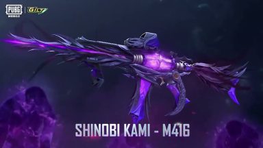 PUBG Mobile brings Shinobi Kami M416 skin, Get it now