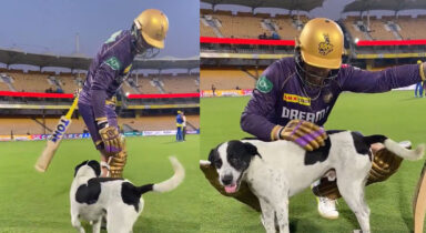 WATCH: Phil Salts encounter with stadium dog is bound to melt your heart