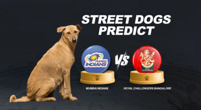 WATCH: Street dogs predict result of MI vs RCB clash – Heres the winner