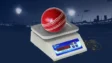 What is the weight of a cricket ball?