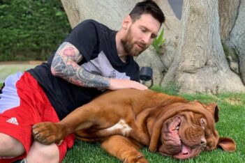 Why Messi abandoned his beloved dog Hulk