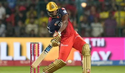 RCBs road to IPL 2025 final